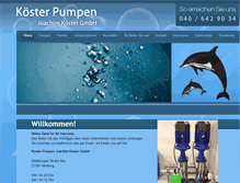 Tablet Screenshot of koesterpumpen.com